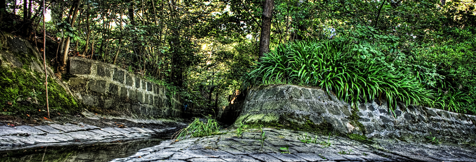 网页DDOS攻击平台